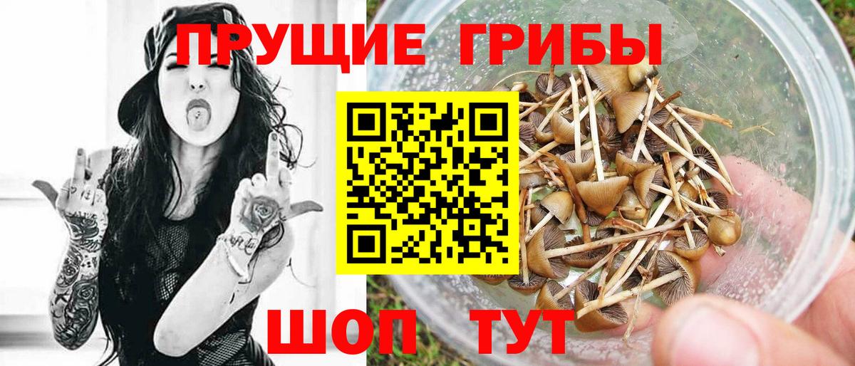 Псилоцибиновые грибы MAGIC MUSHROOMS  Вход с VPN  хочу наркоту  Красногорск  Псилоцибиновые грибы Magic Shrooms 